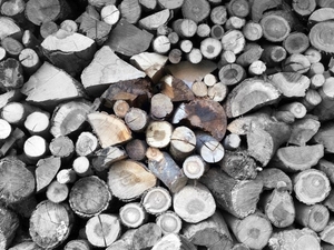 1gekloofd hout