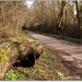 Geniet ook van de mooie dingen die op je weg komen