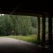 Licht