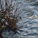 het kolkende water