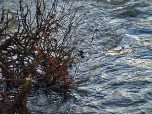 het kolkende water
