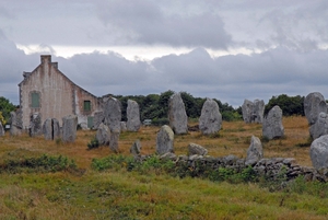 Menhirveld te Carnac (2)