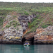 Rondvaart tussen Camaret en Cap de la Chvre (5)