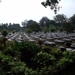 Vietnam (okt. 2009) 088