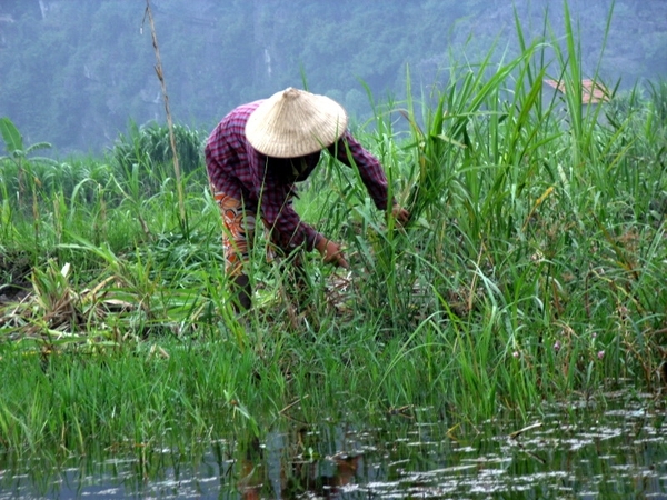Vietnam (okt. 2009) 489