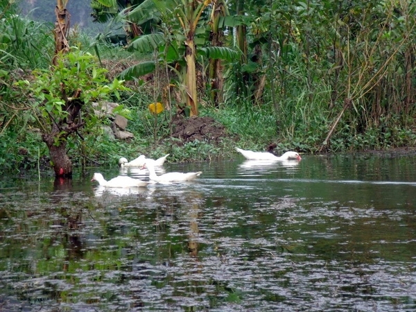 Vietnam (okt. 2009) 506