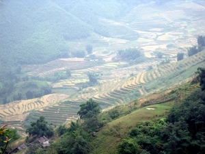 Vietnam (okt. 2009) 538