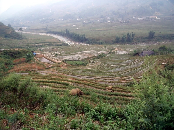 Vietnam (okt. 2009) 553
