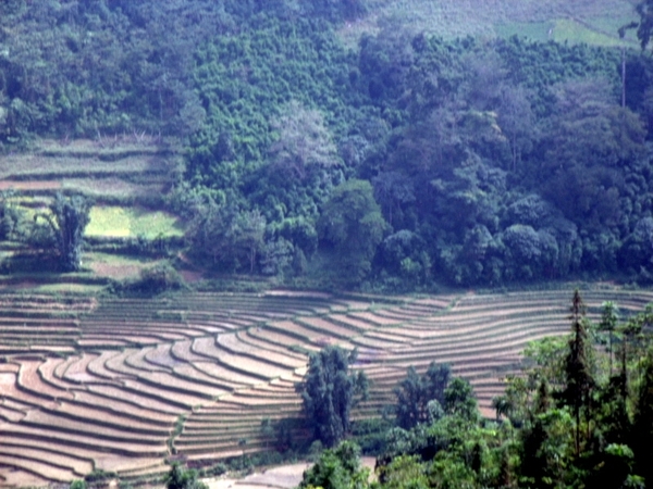 Vietnam (okt. 2009) 610