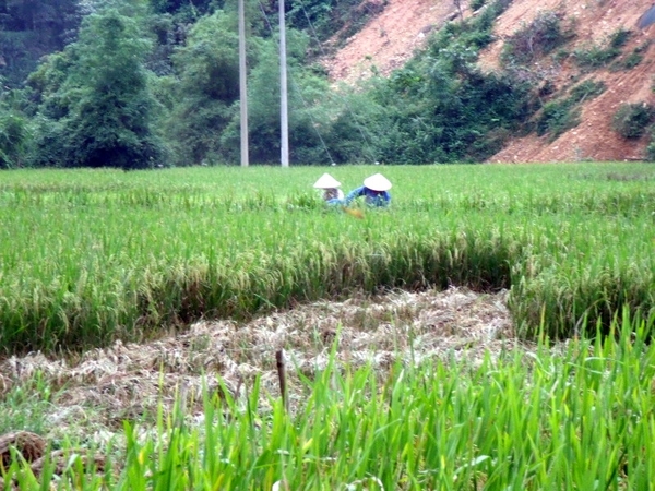 Vietnam (okt. 2009) 612