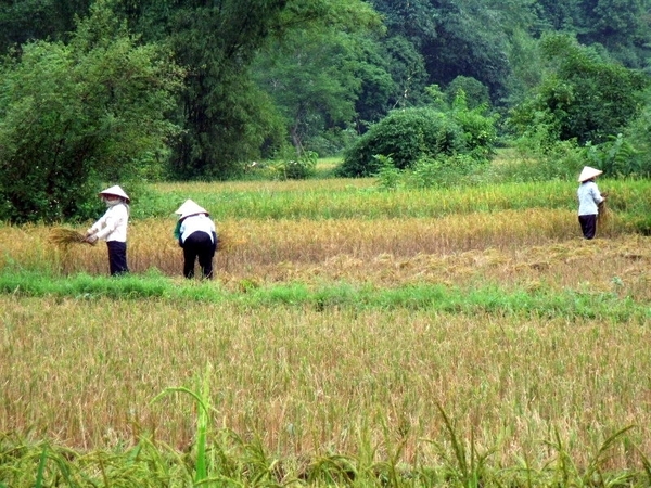 Vietnam (okt. 2009) 613