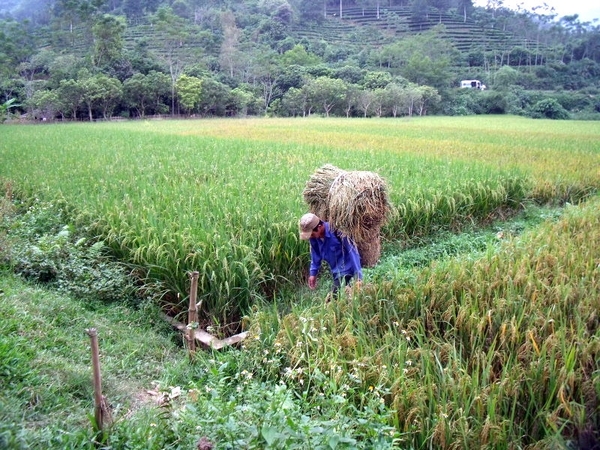 Vietnam (okt. 2009) 615