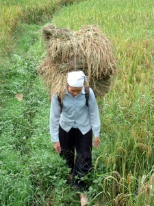 Vietnam (okt. 2009) 617