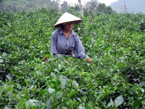 Vietnam (okt. 2009) 621