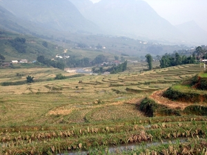 Vietnam (okt. 2009) 570