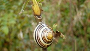 P1010450