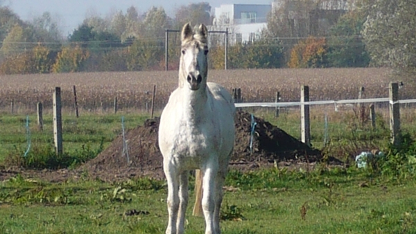 P1010484