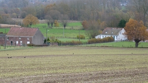 P1030174