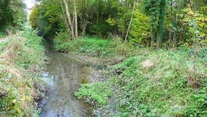 resized_TERVUREN 023