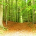 resized_TERVUREN 062