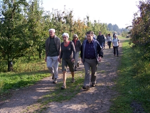 Herfstkleuren in het Hageland 004