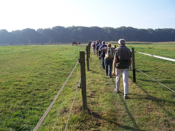 Herfstkleuren in het Hageland 012