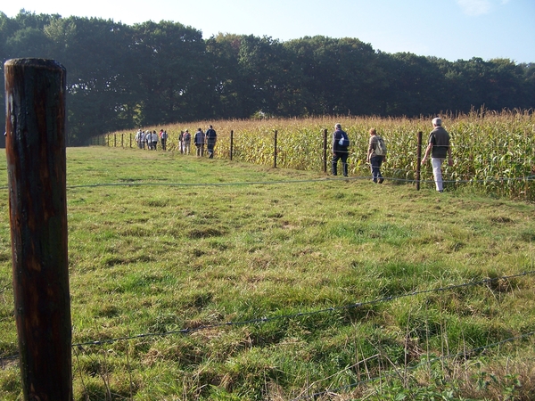 Herfstkleuren in het Hageland 014