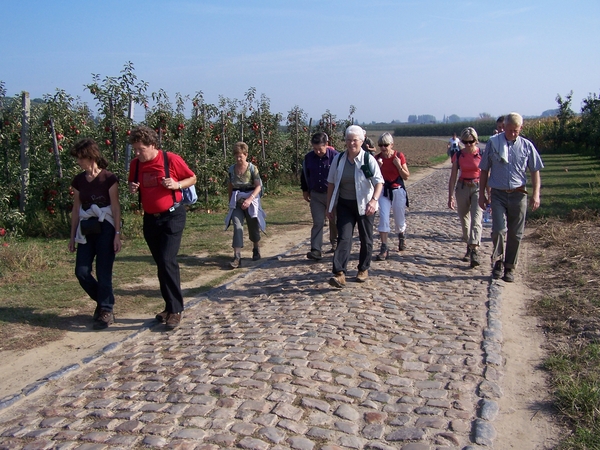 Herfstkleuren in het Hageland 015