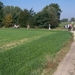 Herfstkleuren in het Hageland 016