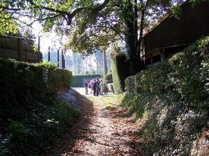 Herfstkleuren in het Hageland 053