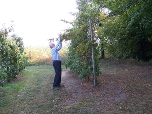 Herfstkleuren in het Hageland 062