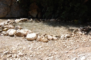 Spanje 2008 (450) (Medium)