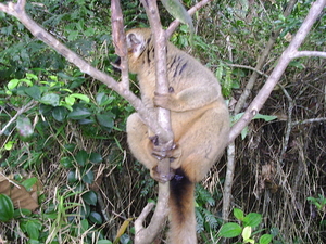 Madagaskar 020