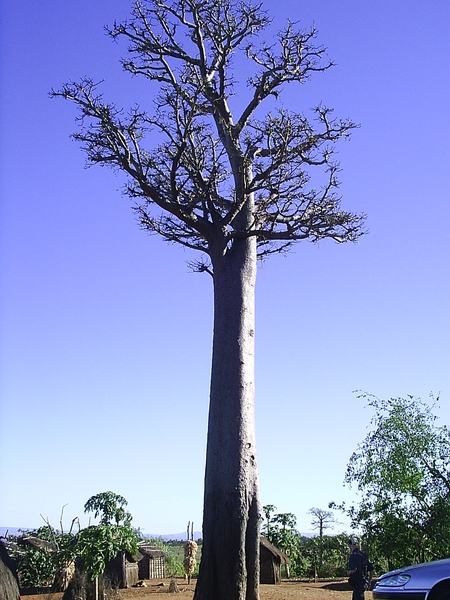 Madagaskar 082