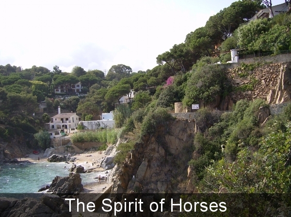 2297800020030888780mrznvA_fs