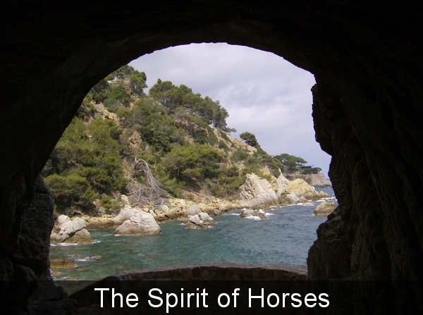 2391024340030888780LIZLly_fs