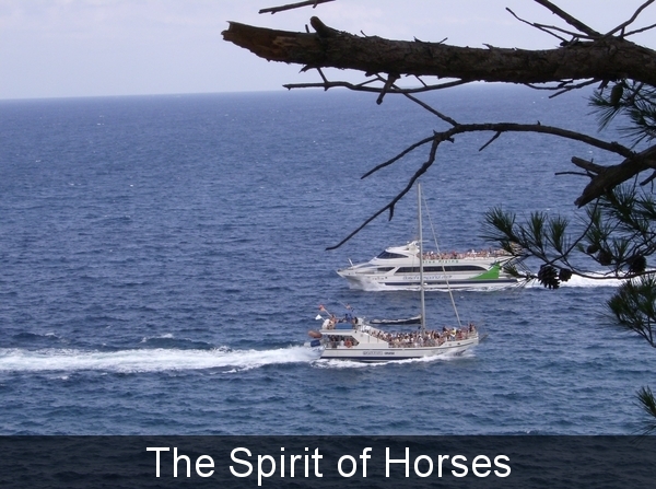 2421849690030888780uTSoiY_fs