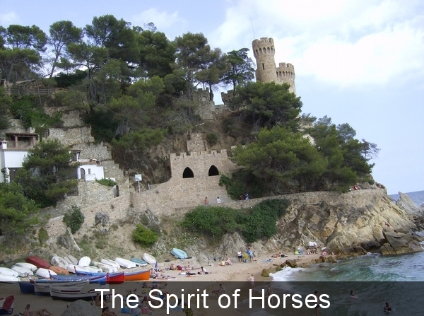 2718243350030888780lRcJhV_fs