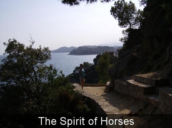 2889410900030888780vmXixe_fs