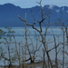 01-06-07--Bako-07