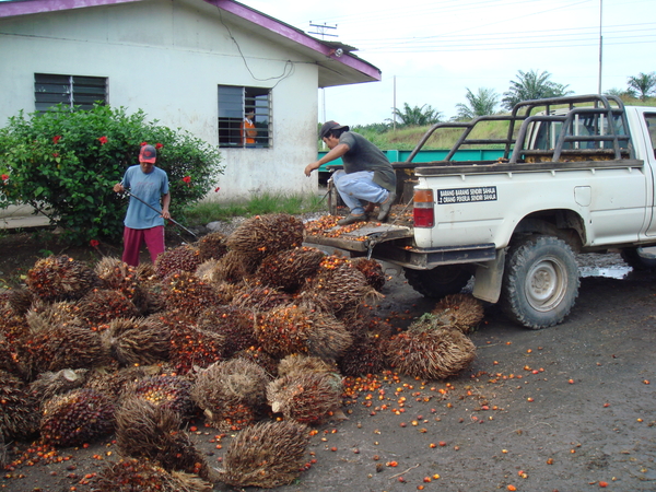 07-06-07--Tabin-01