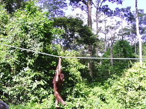 Borneo 058