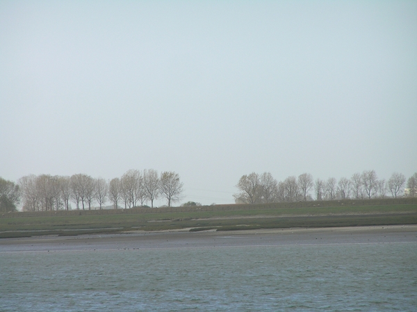 Sloehaven met boot  D 003