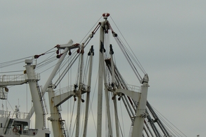 2007-10-21 sloehave seaport 134