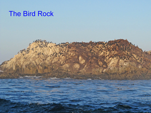 17  miles drive  -  Bird Rock