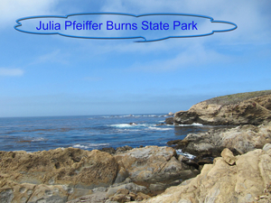 Julie Pheiffer park