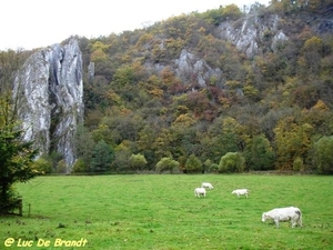 2009_10_25 Furfooz 34 Aiguilles de Chaleux