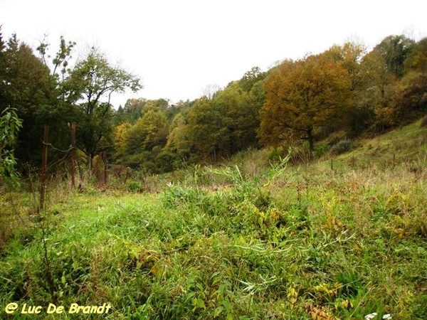 Ardennen Adeps wandeling promenade Furfooz