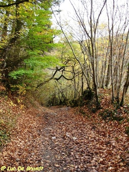 Ardennen Adeps wandeling promenade Furfooz