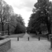 tongerlo 1342011 008